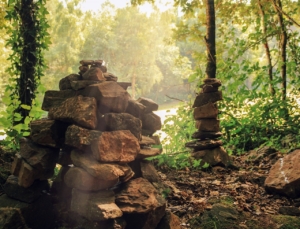 Brocéliande forest